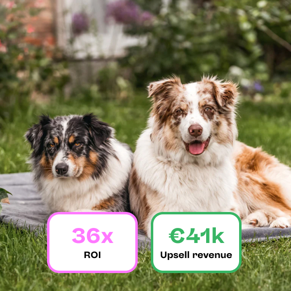 Sabro x Karla - image 3